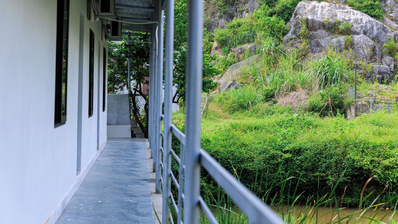 Photo of Others in Hoa Lu