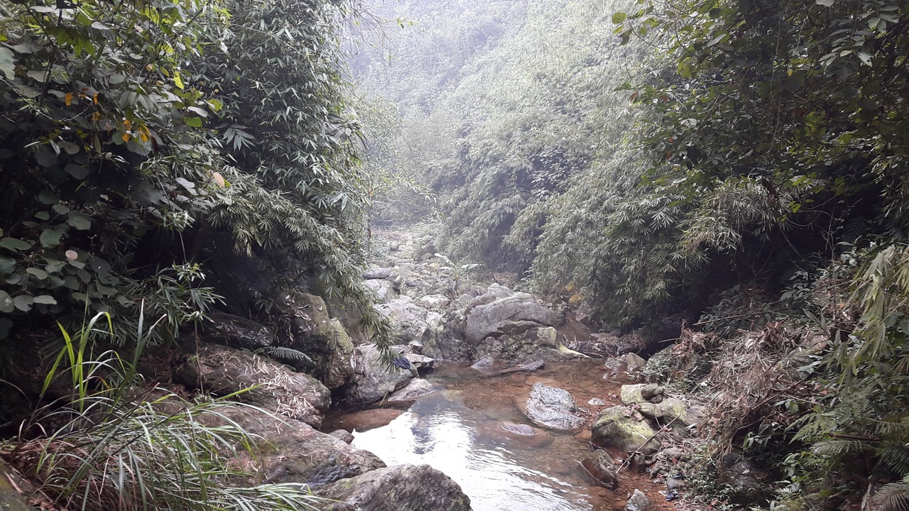 Photo of Outdoor in Tran Yen