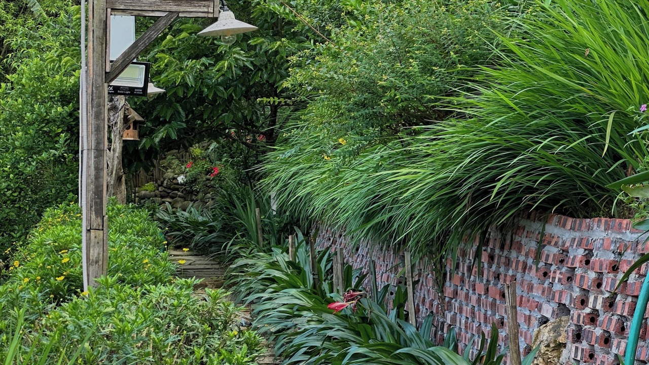 Photo of Outdoor in Sa Pa