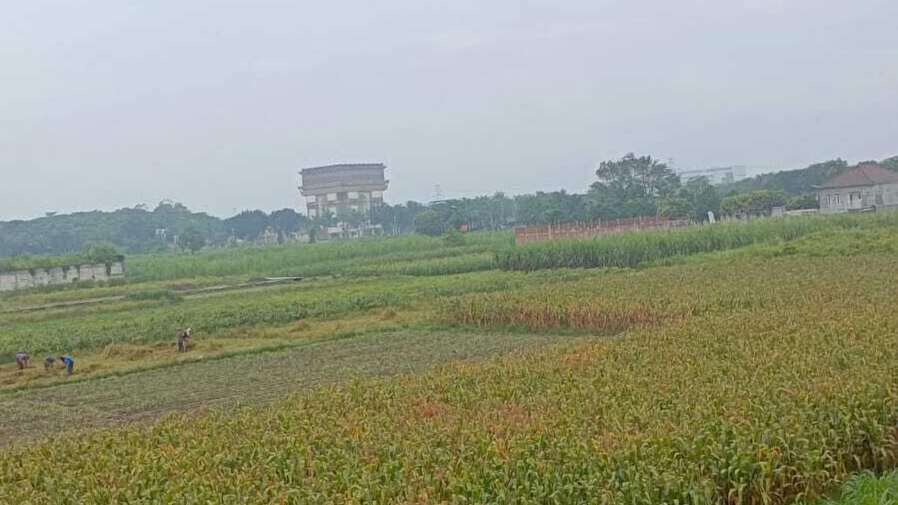 Photo of Others in Ngasem