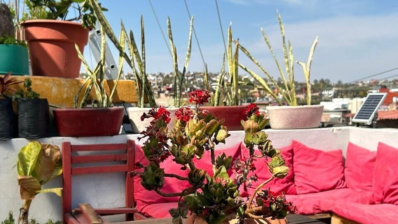 Photo of Outdoor in San Miguel de Allende