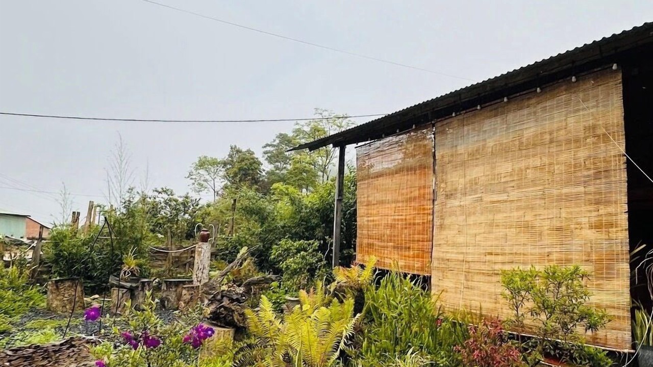 Photo of Outdoor in Kon Plong