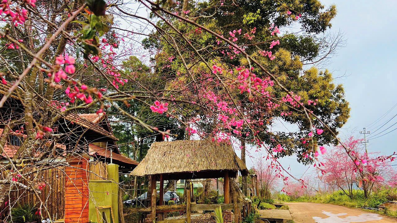 Photo of Outdoor in Kon Plong
