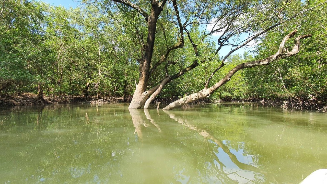 Photo of Outdoor in Phangnga