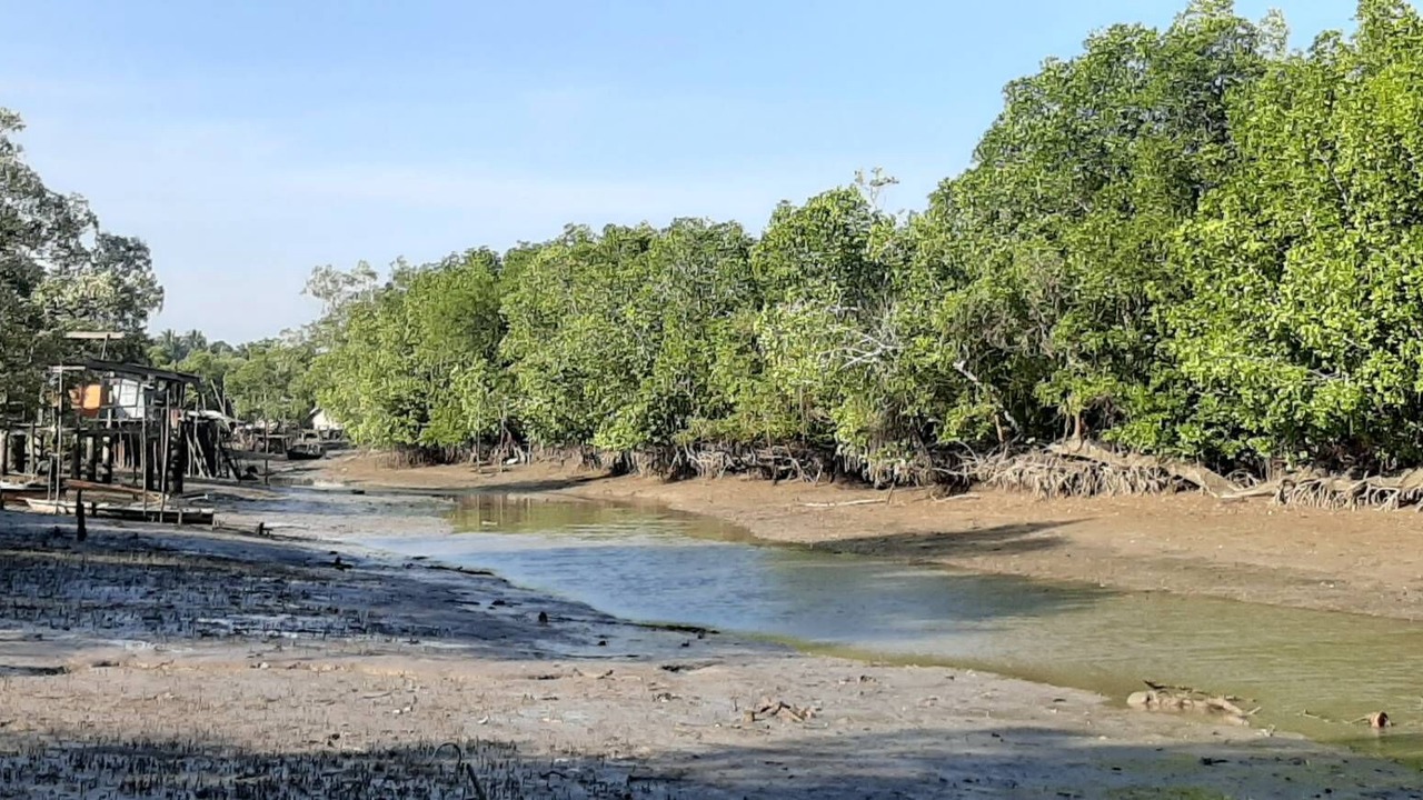 Photo of Outdoor in Phangnga