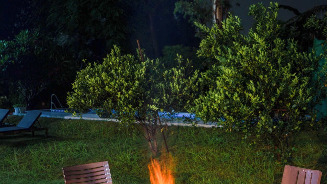 Photo of Outdoor in New Delhi