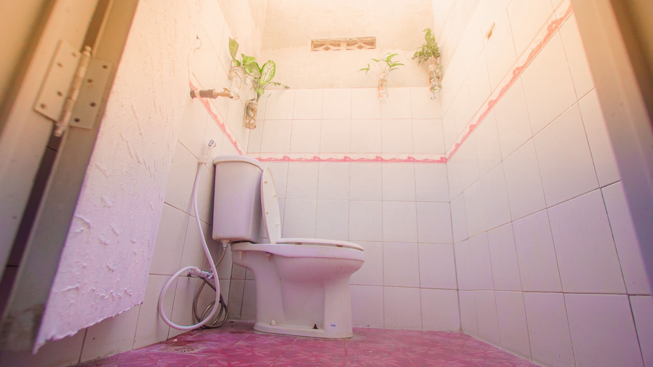 Photo of Bathroom in Pakem