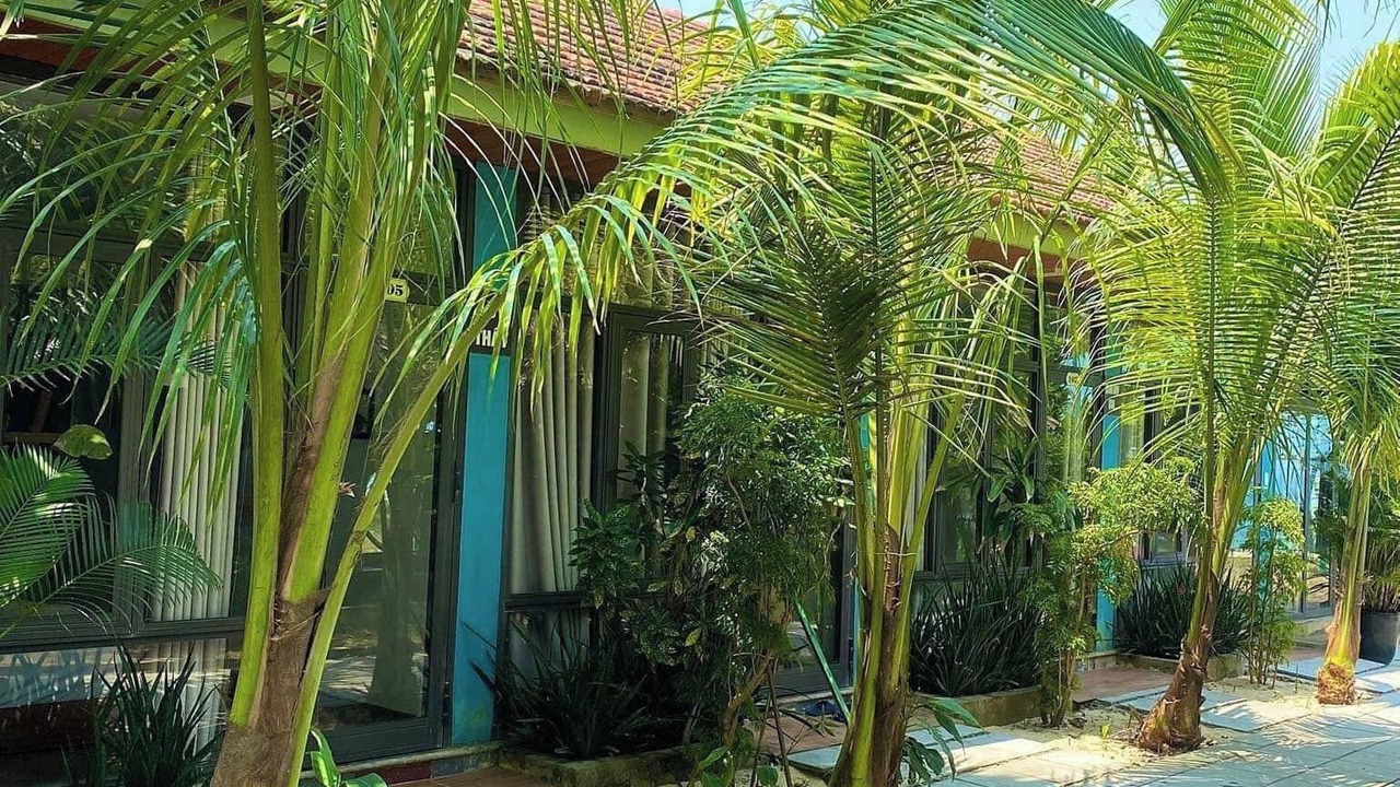 Photo of Outdoor in Dong Hoi