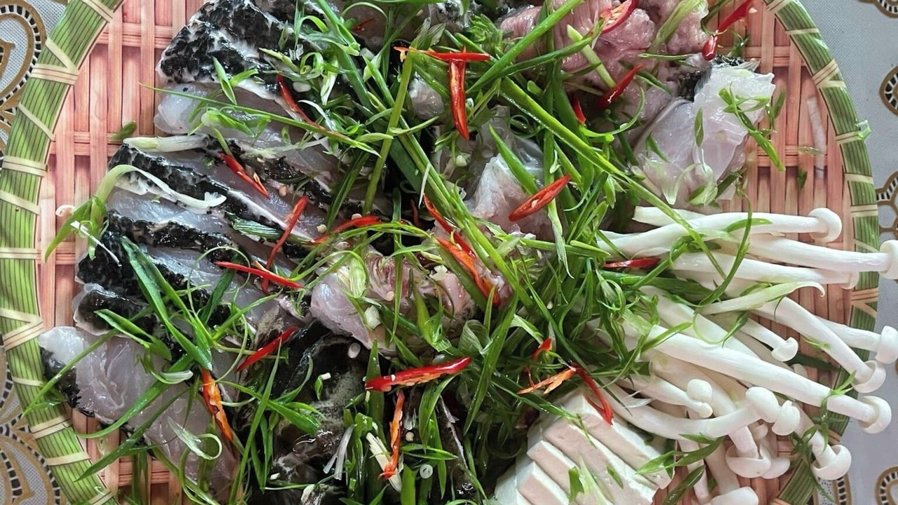 Photo of Outdoor in Dong Hoi