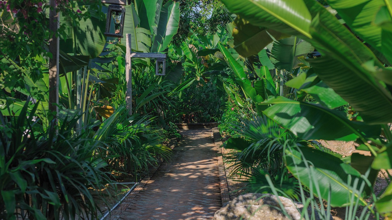 Photo of Outdoor in Tam Diep
