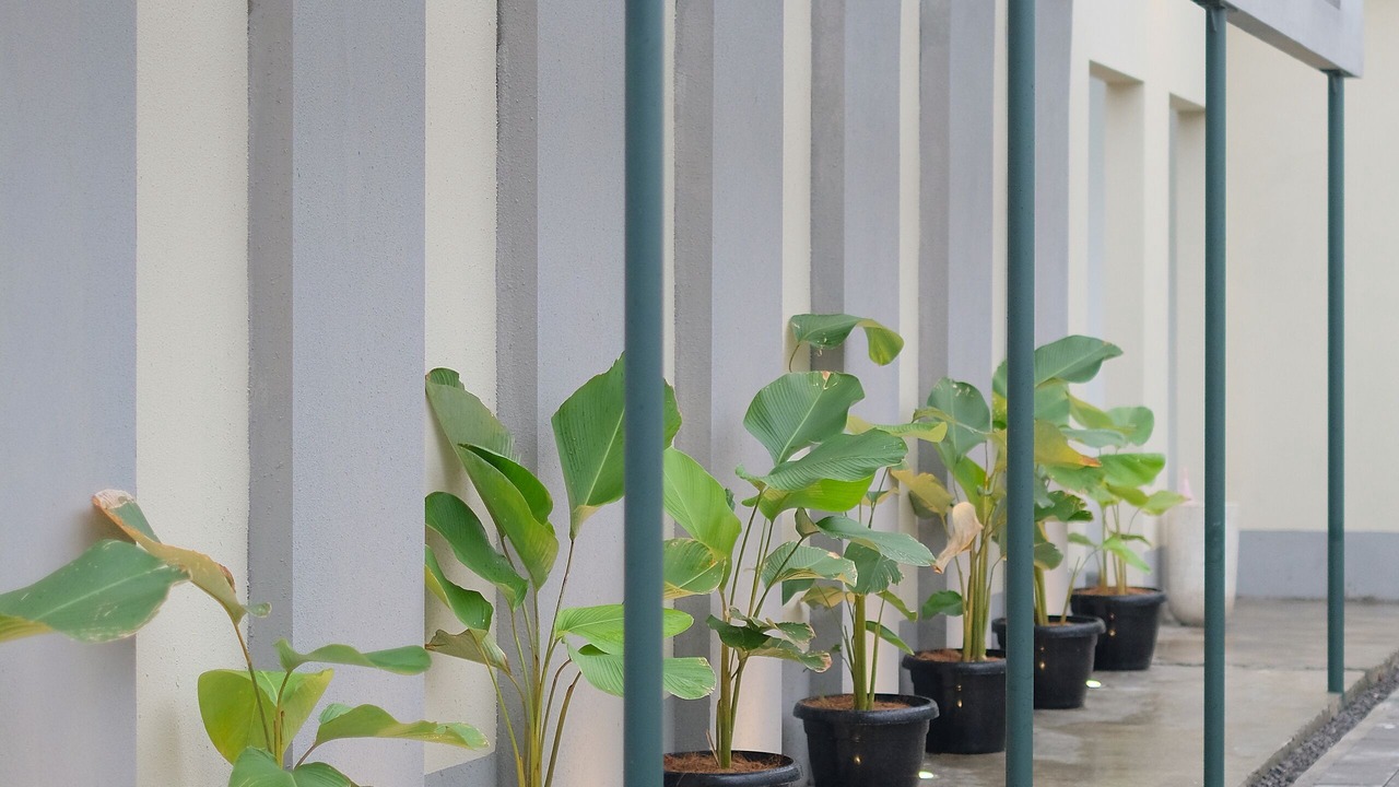 Photo of Outdoor in Prawirotaman
