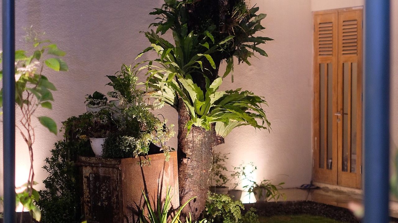 Photo of Outdoor in Prawirotaman