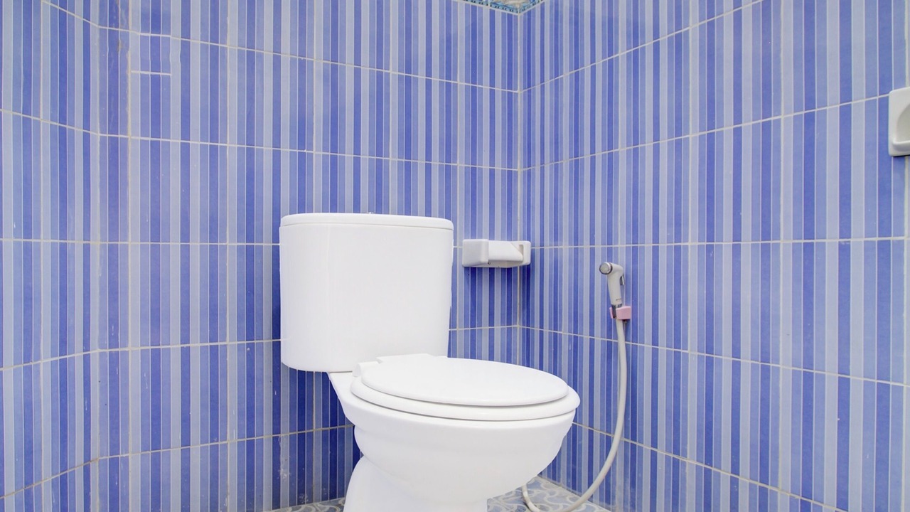 Photo of Bathroom in Pakem