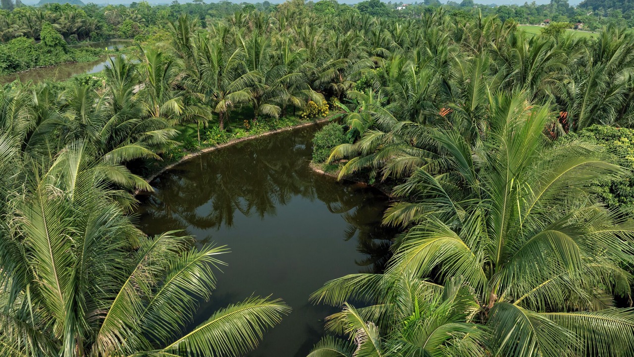 Photo of Outdoor in Hoa Lu