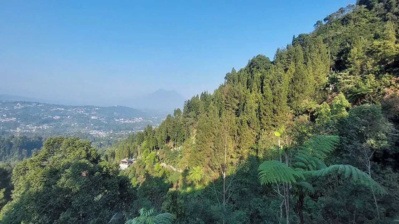 Photo of Outdoor in Megamendung