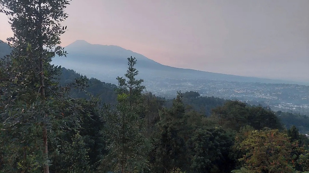 Photo of Outdoor in Megamendung