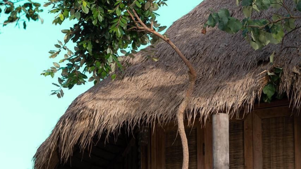 Photo of Outdoor in Tatai