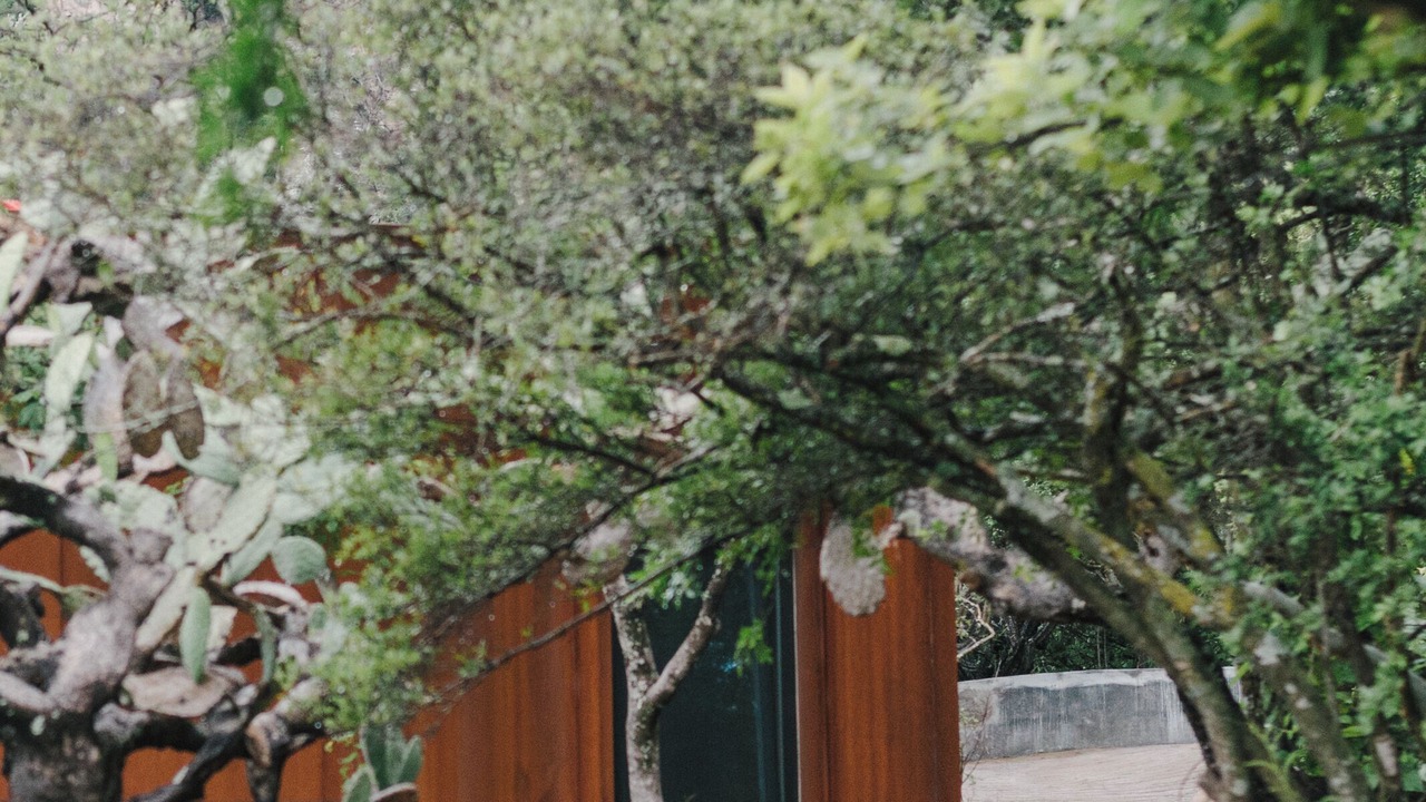 Photo of Outdoor in San Miguel de Allende