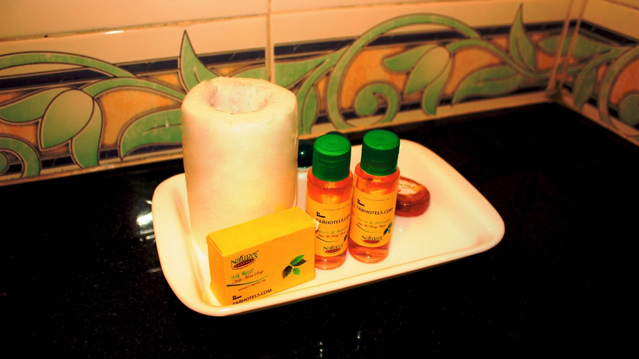 Photo of Bathroom in Janakpuri