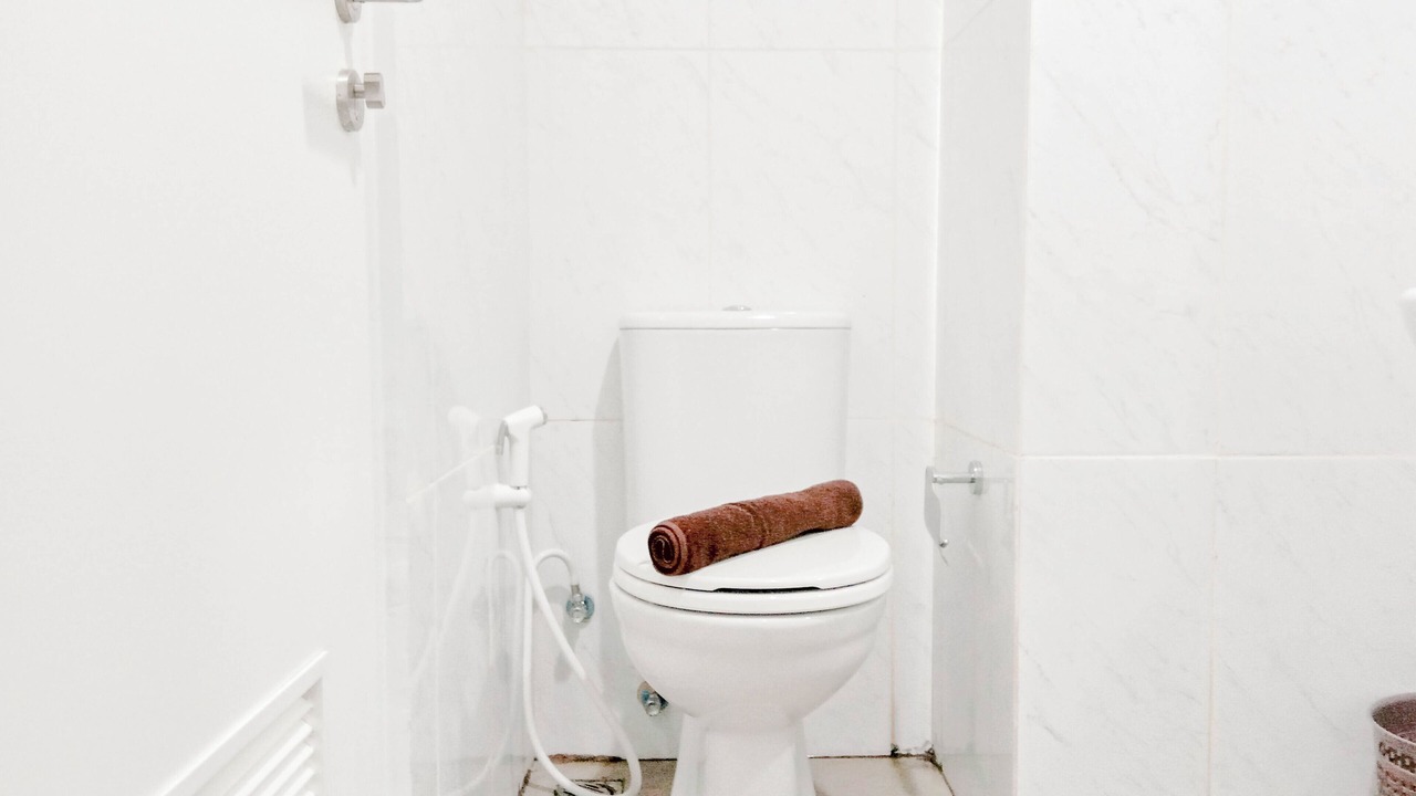Photo of Bathroom in Biringkanya