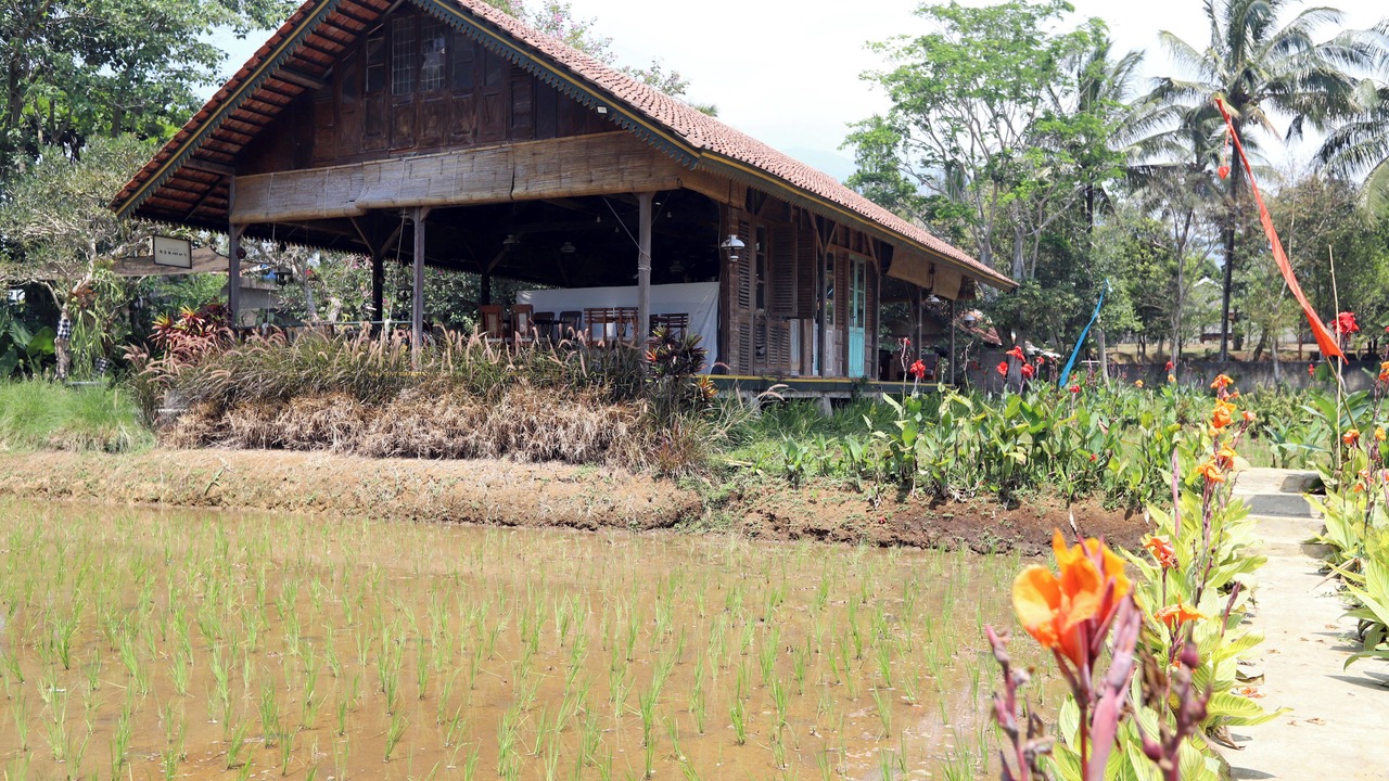 Photo of Outdoor in Cijeruk
