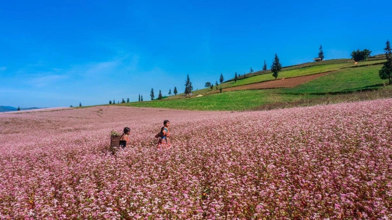 Photo of Outdoor in Meo Vac