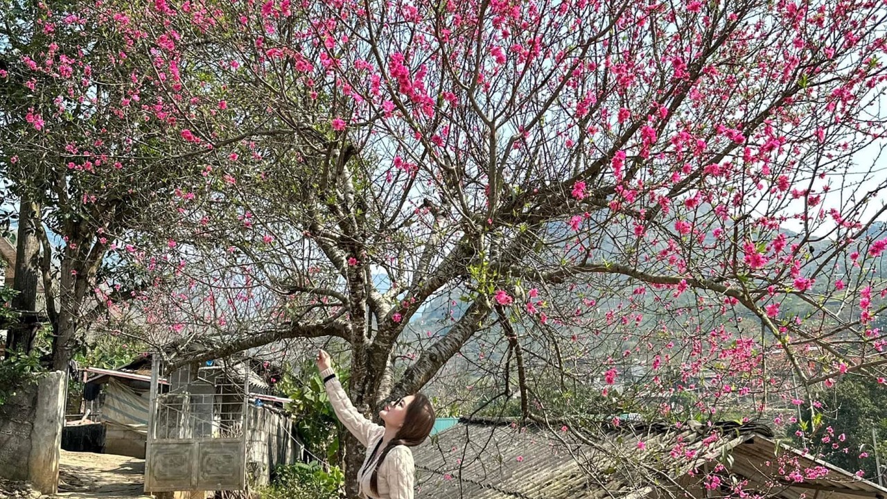 Photo of Outdoor in Meo Vac