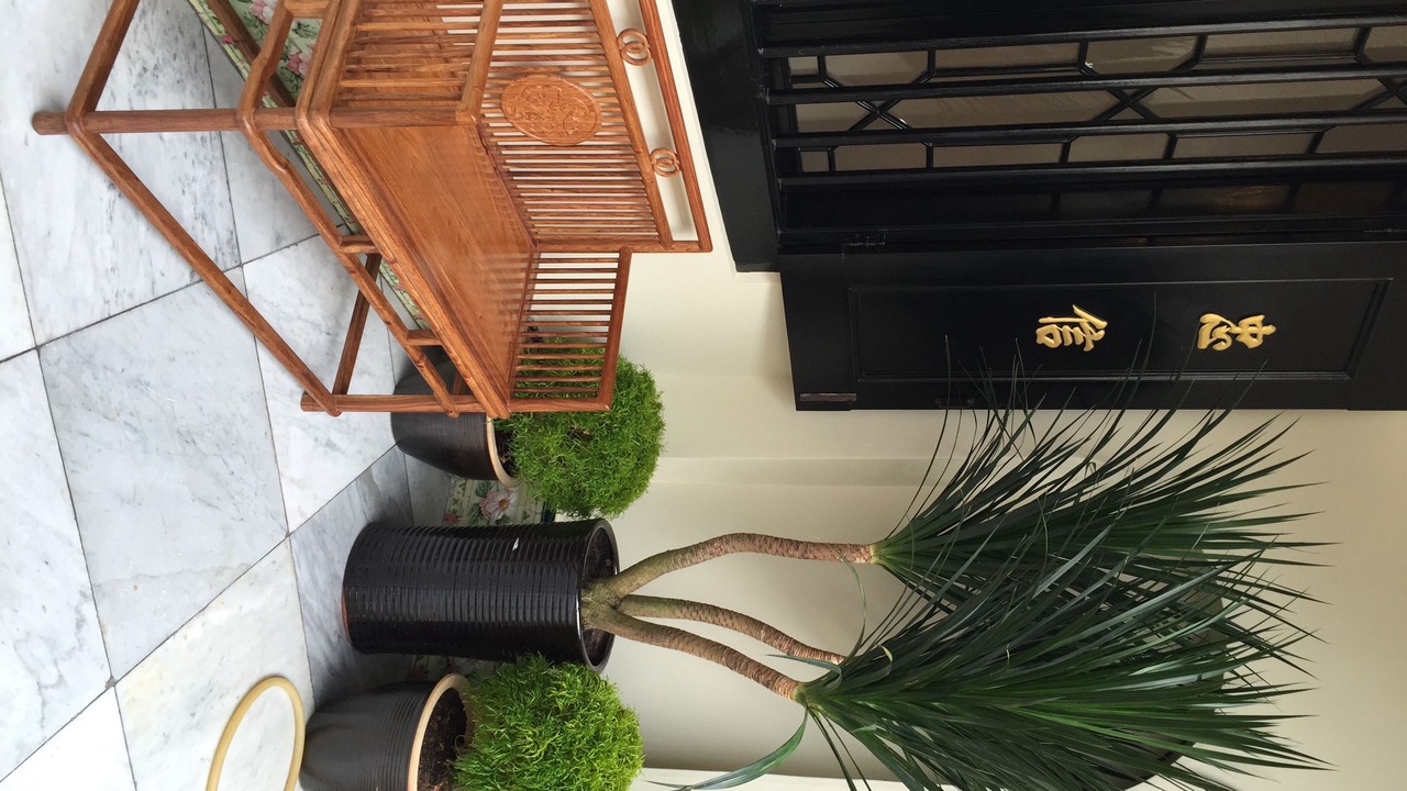 Photo of Outdoor in Malacca City
