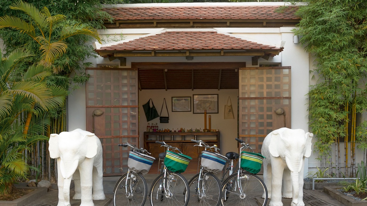 Photo of Outdoor in Daun Penh