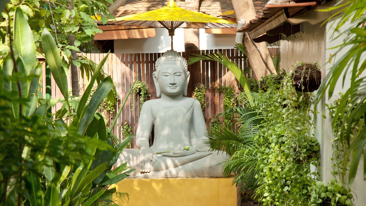 Photo of Others in Daun Penh