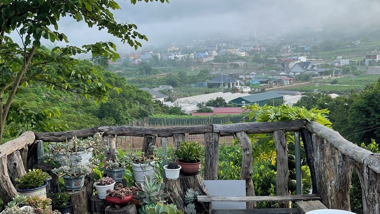 Photo of Others in Moc Chau