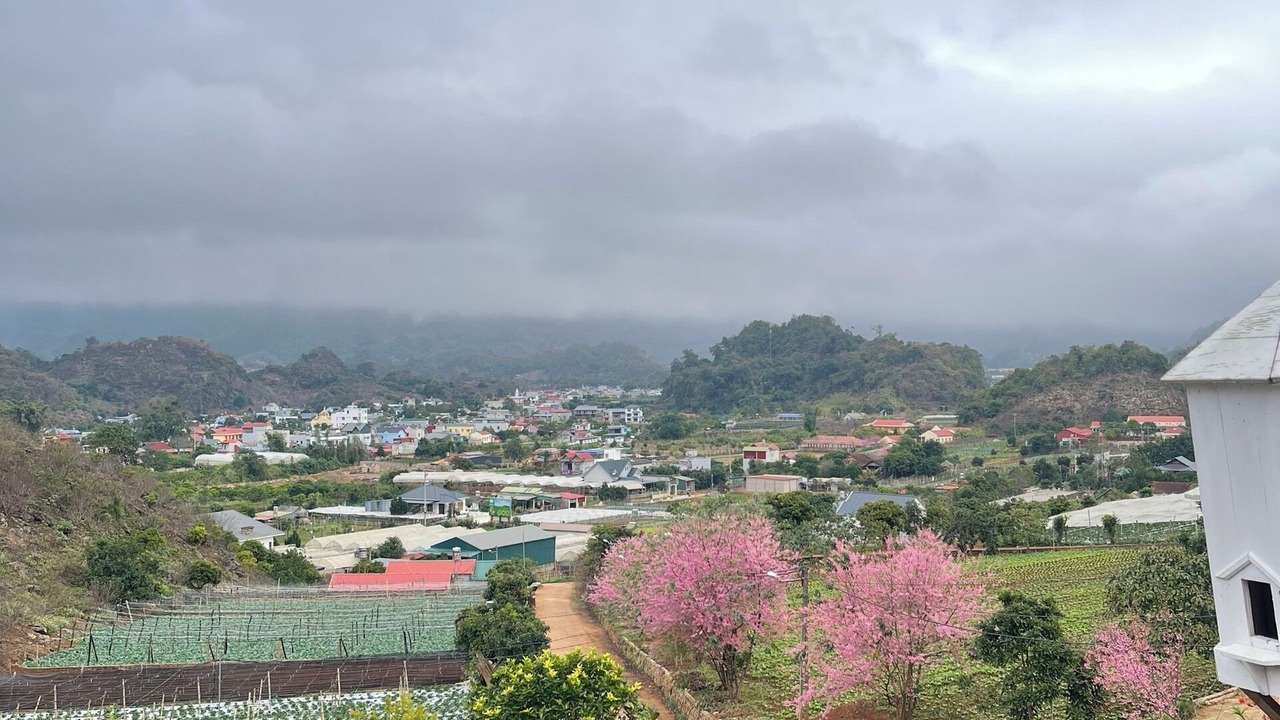 Photo of Others in Moc Chau