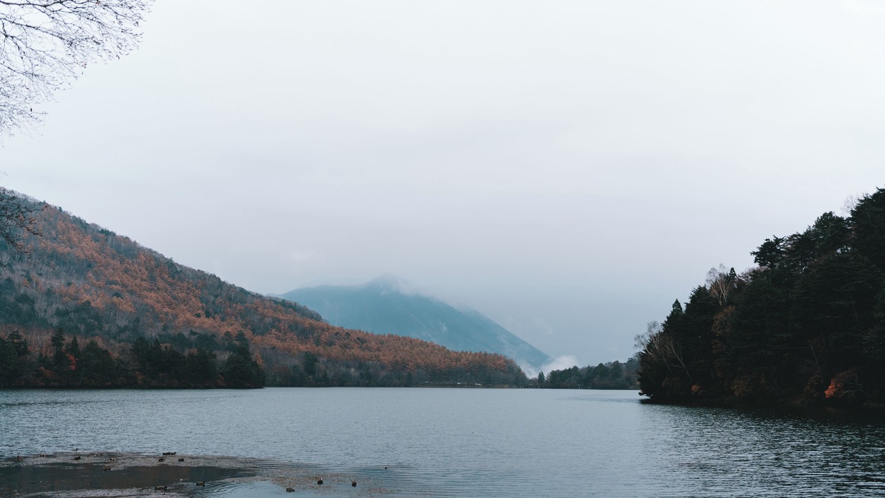 Photo of Others in Nikko