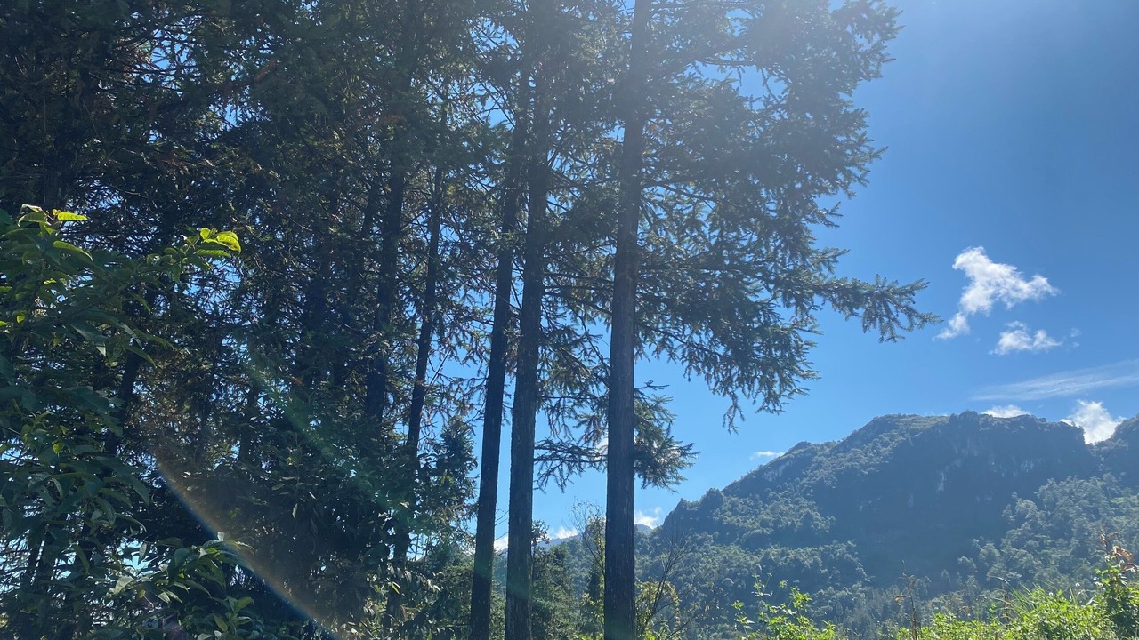 Photo of Outdoor in Cha Pai