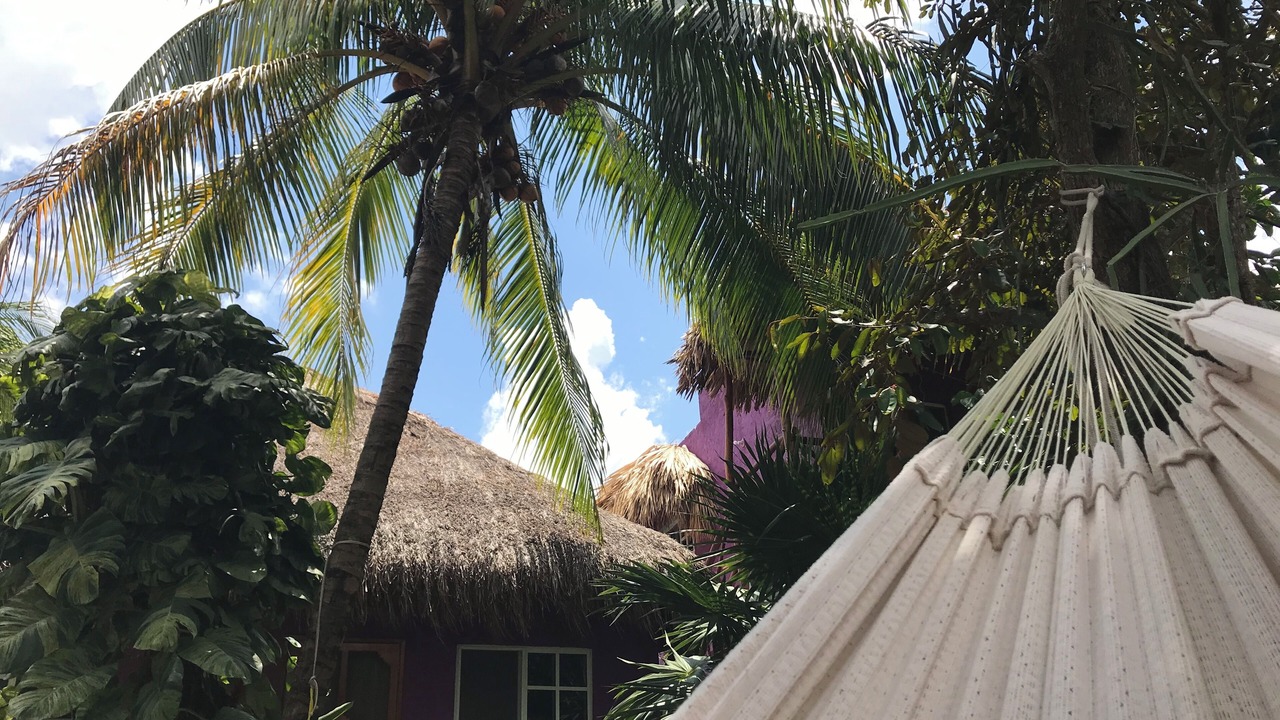 Photo of Outdoor in Colonia Centro