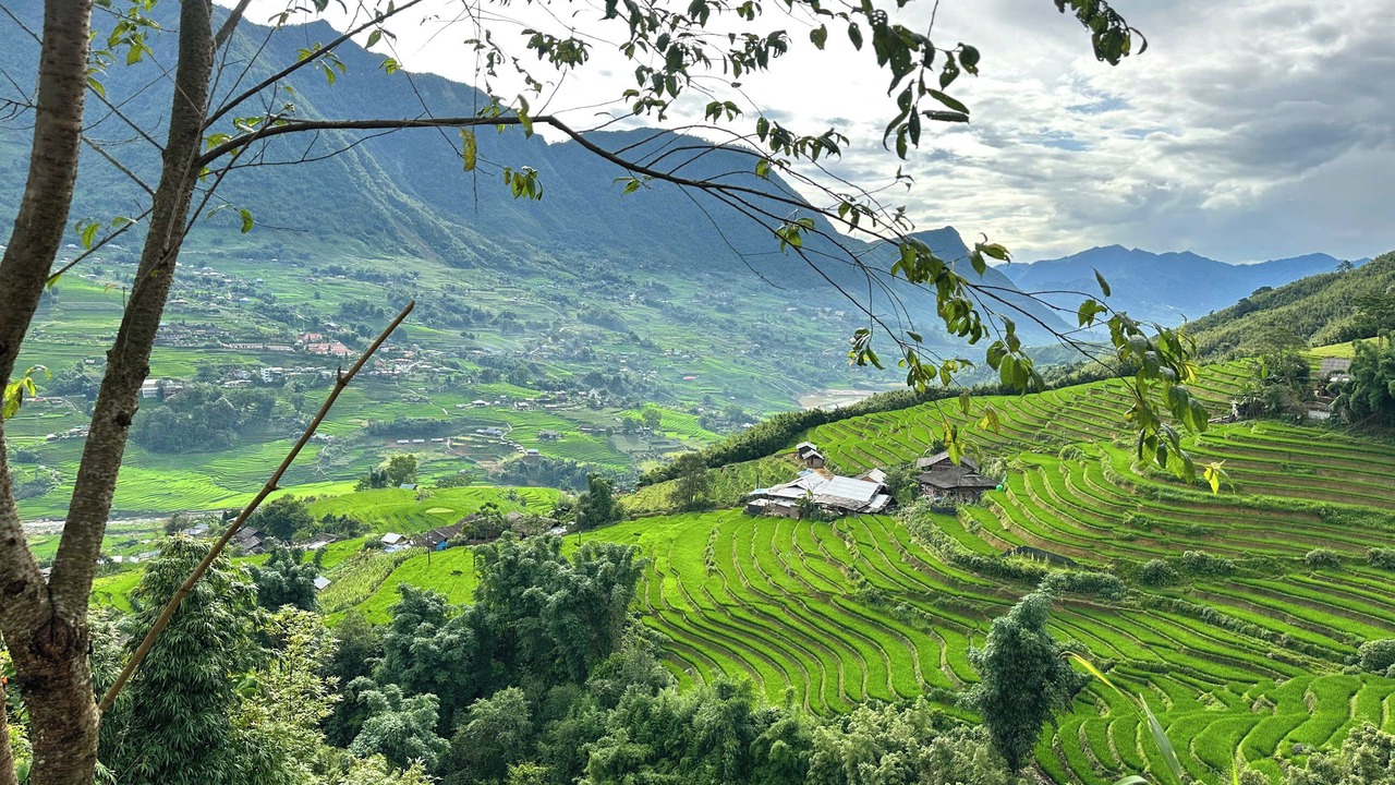 Photo of Others in Sa Pa
