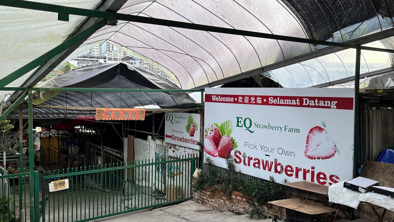 Photo of Outdoor in Brinchang