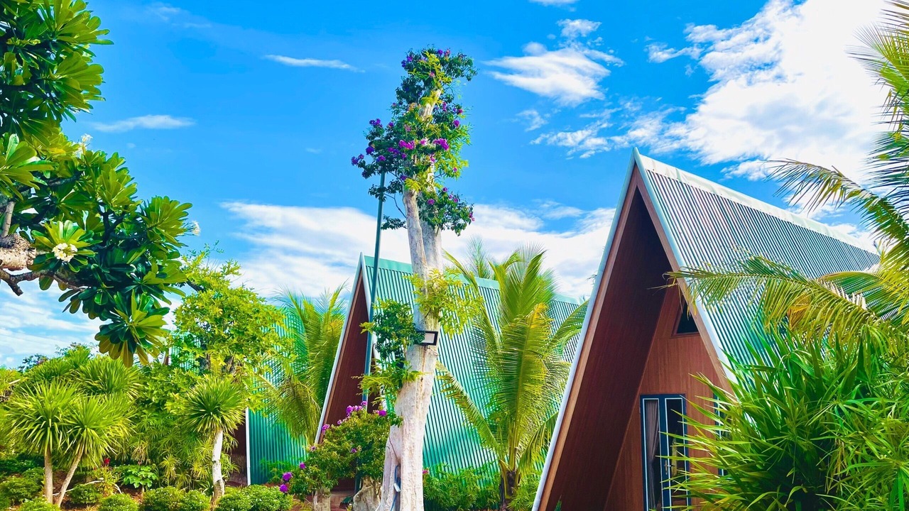 Photo of Outdoor in Phu Cat