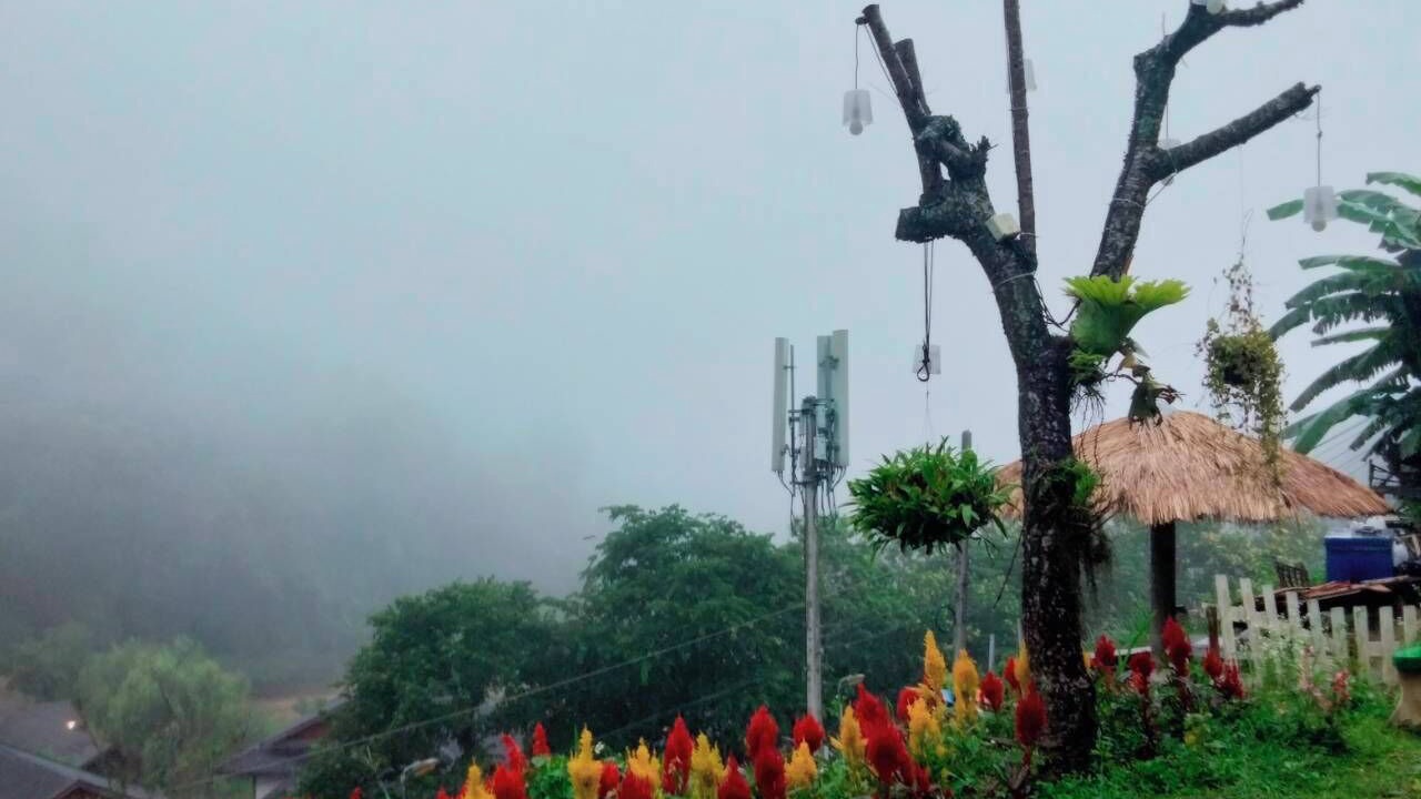 Photo of Outdoor in Mae Rim