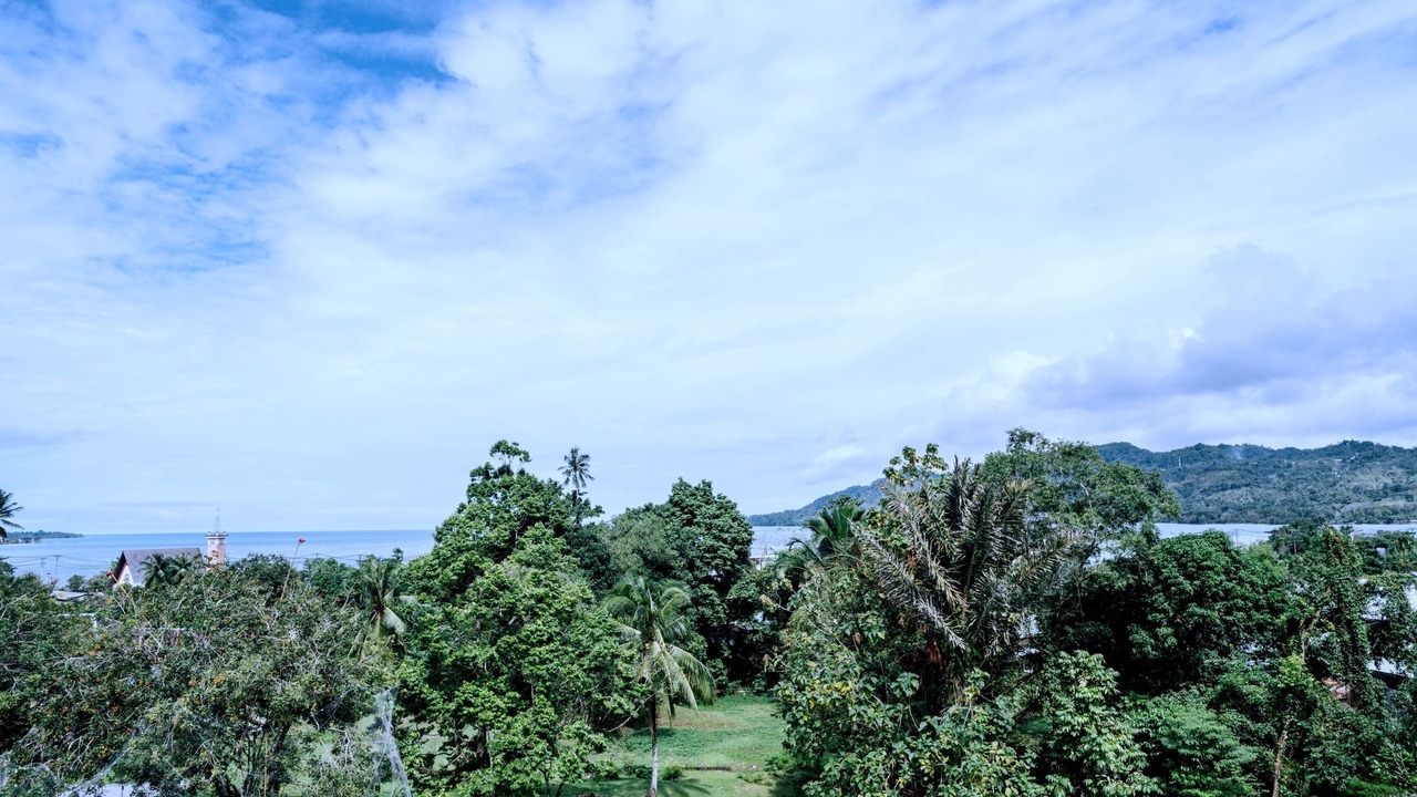Photo of Outdoor in Paso