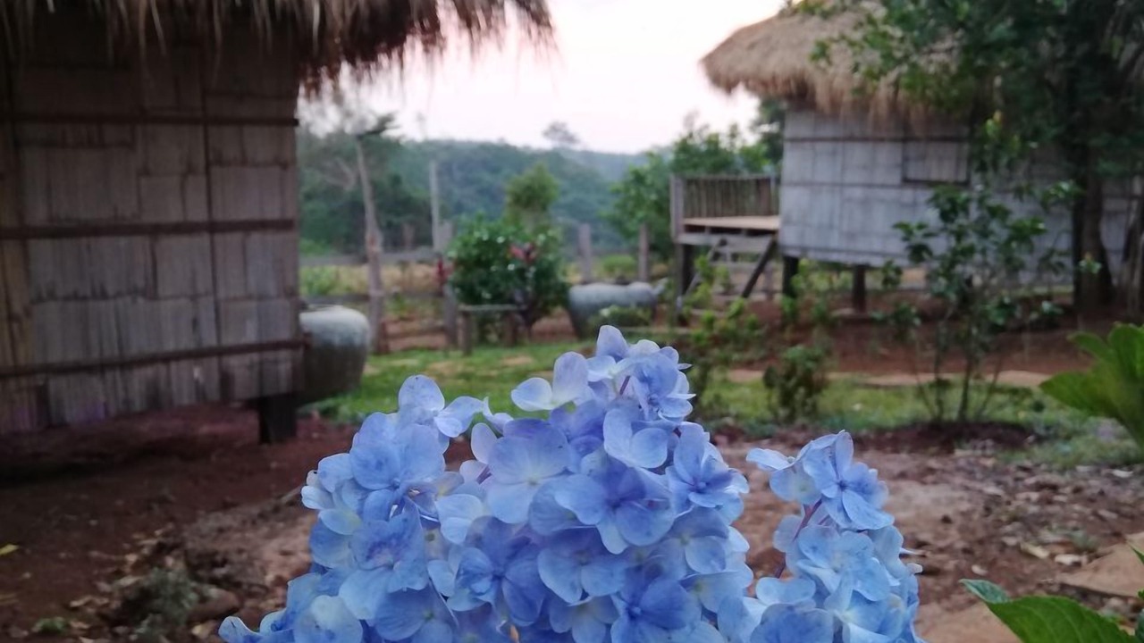 Photo of Outdoor in Sen Monorom