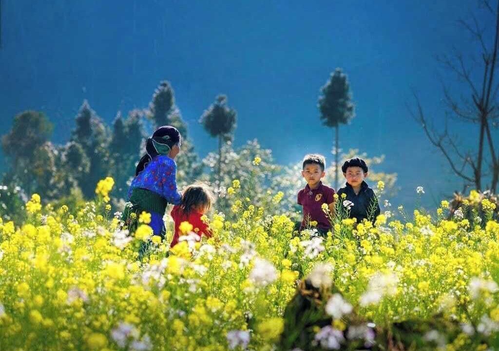 Photo of Others in Moc Chau