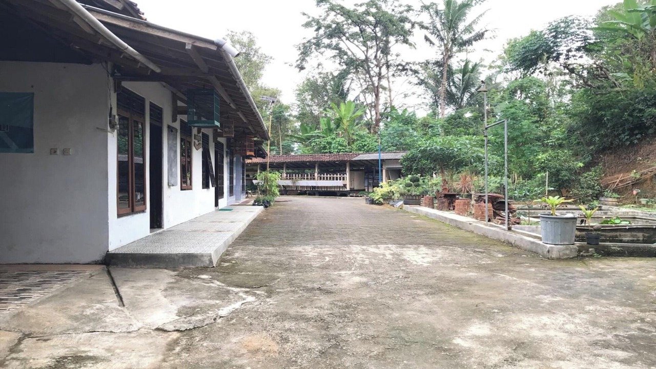 Photo of Outdoor in Kalirejo