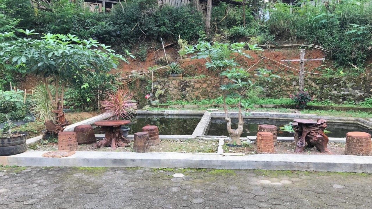 Photo of Outdoor in Kalirejo