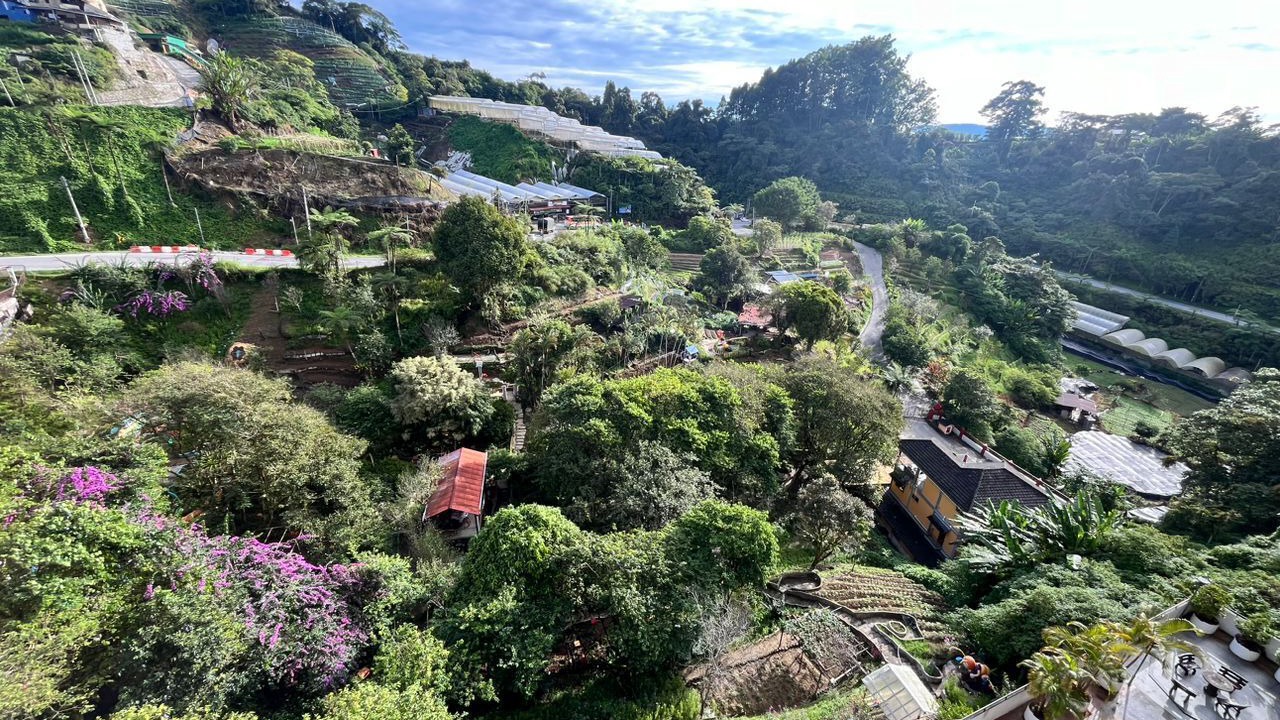 Photo of Others in Brinchang