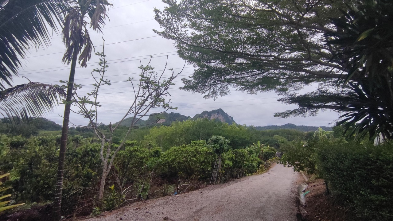 Photo of Outdoor in Ban Ta Khun