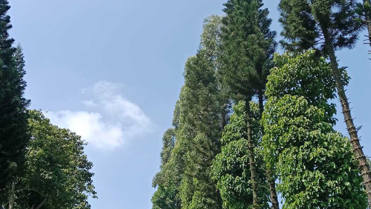 Photo of Others in Lembang