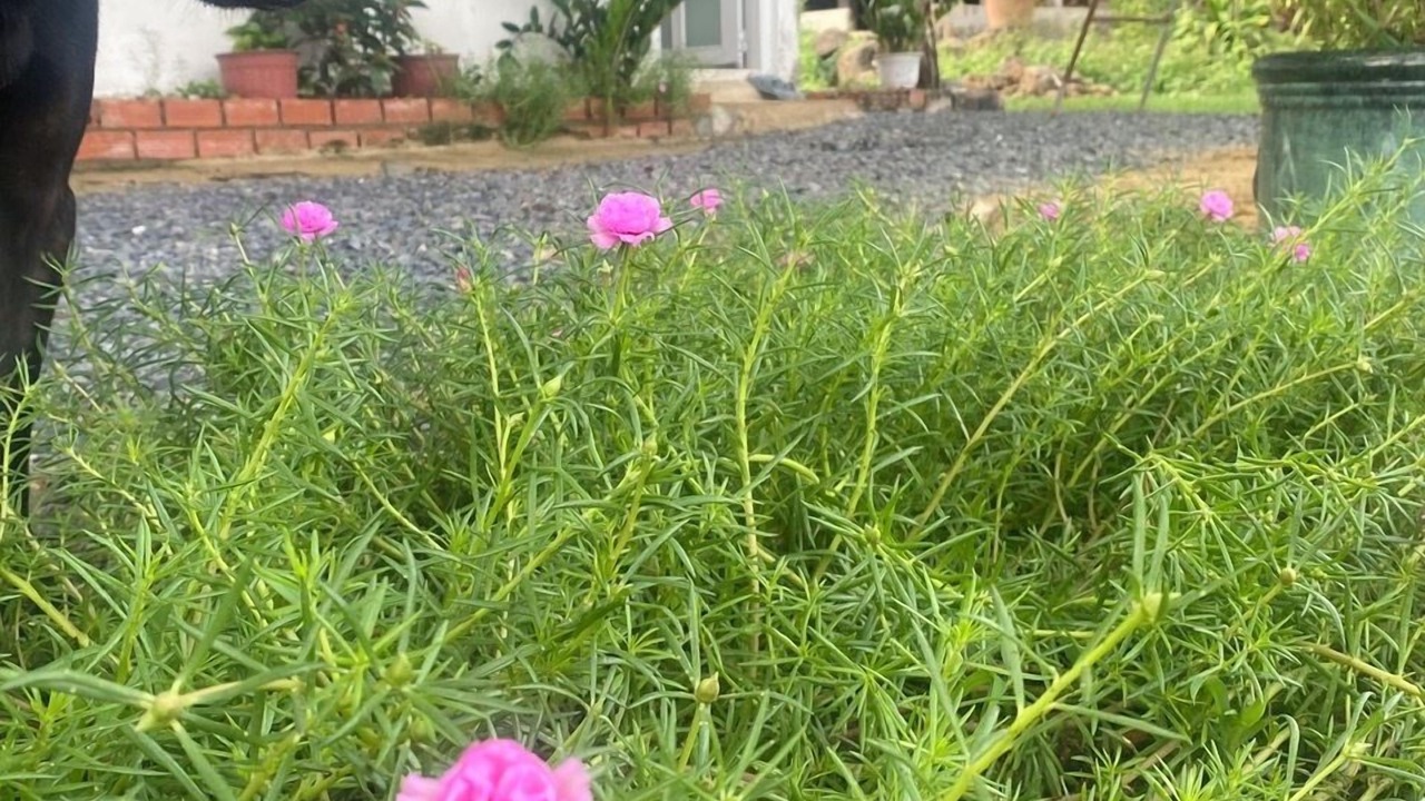 Photo of Outdoor in Trang Bom