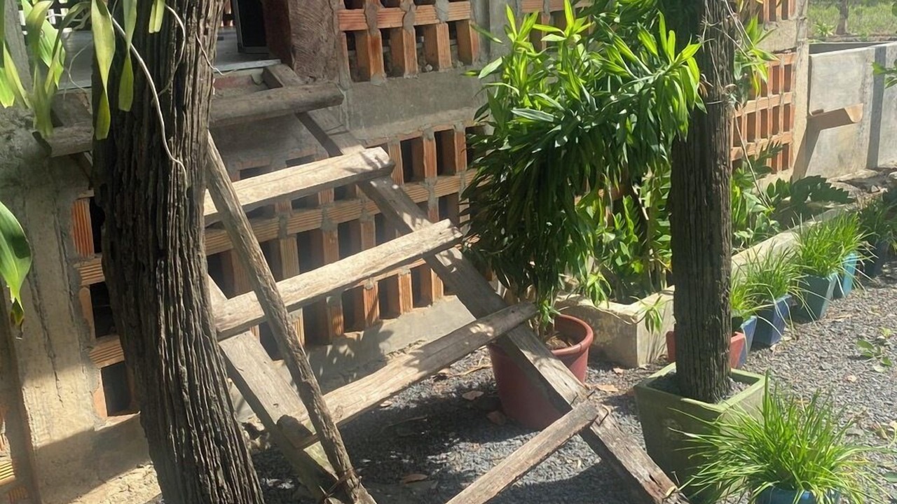 Photo of Outdoor in Trang Bom