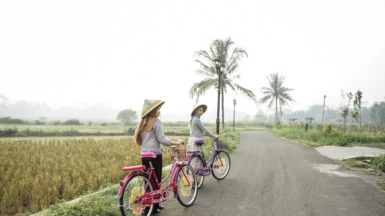 Photo of Outdoor in Borobudur